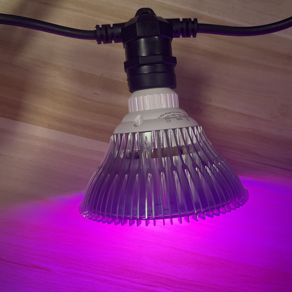 10M Cable LED String Commercia - Outdoor Power Adapter incelemesi ve fiyatı